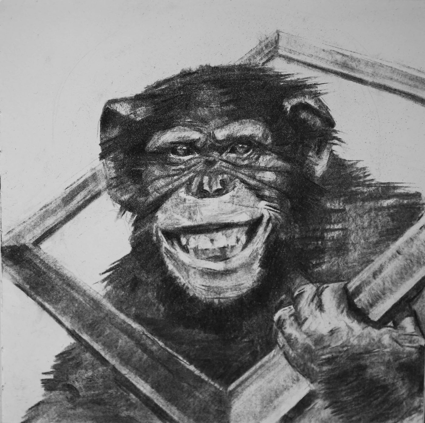 Georgios Staikos, Chimpanzee, 2021 — Charcoal on paper