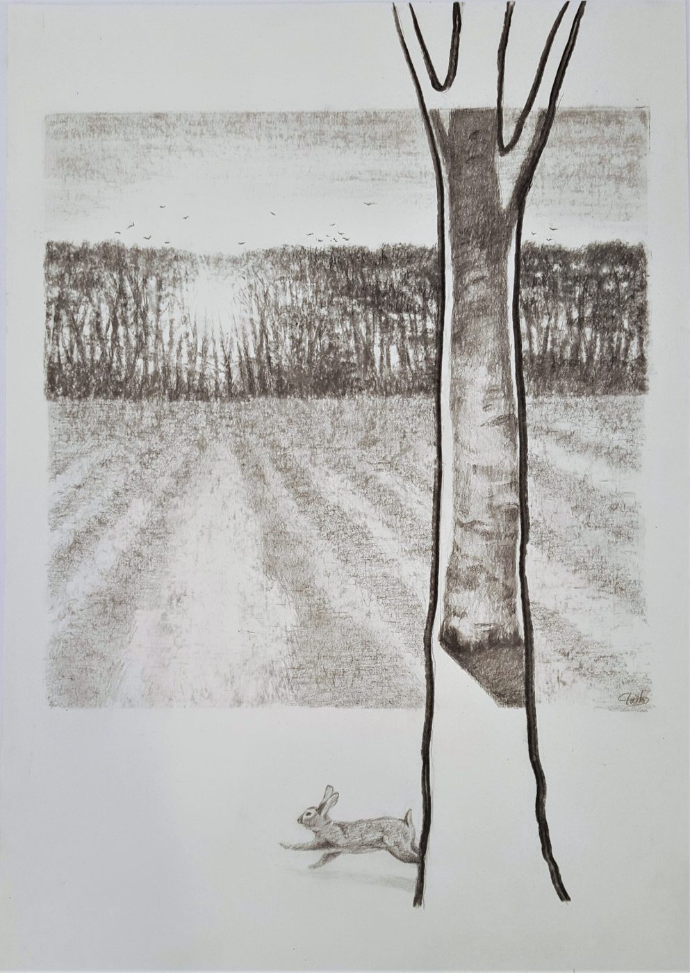 Georgios Staikos, Vestiges, 2018 — Charcoal and pencil on paper, polyptych in four parts